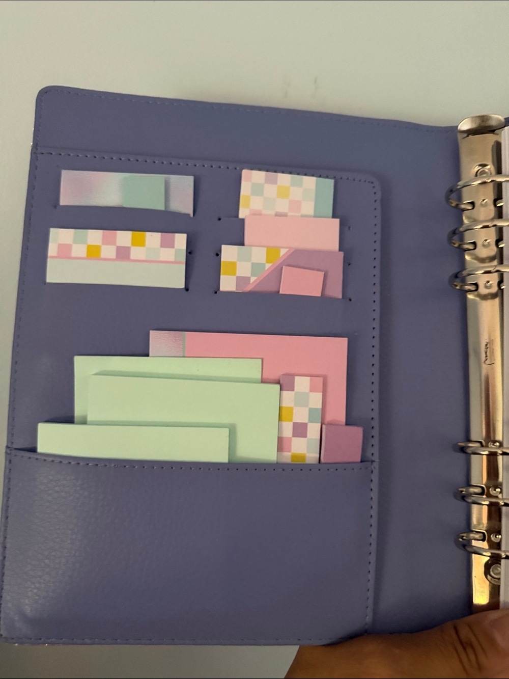 Iridescent Snake-Embossed Planner - Picture 2 of 10